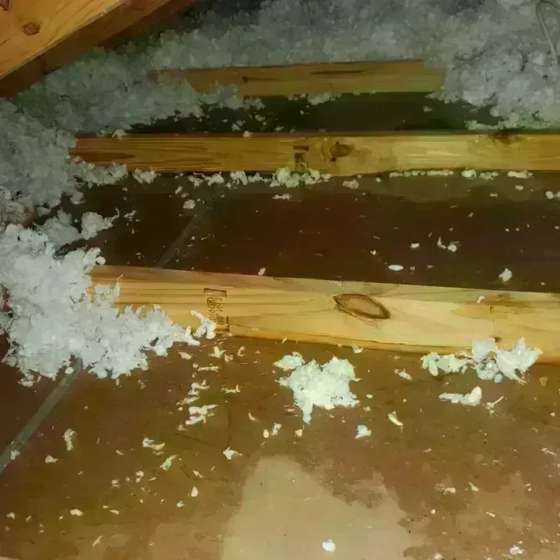 Attic Water Damage in Fremont, NC