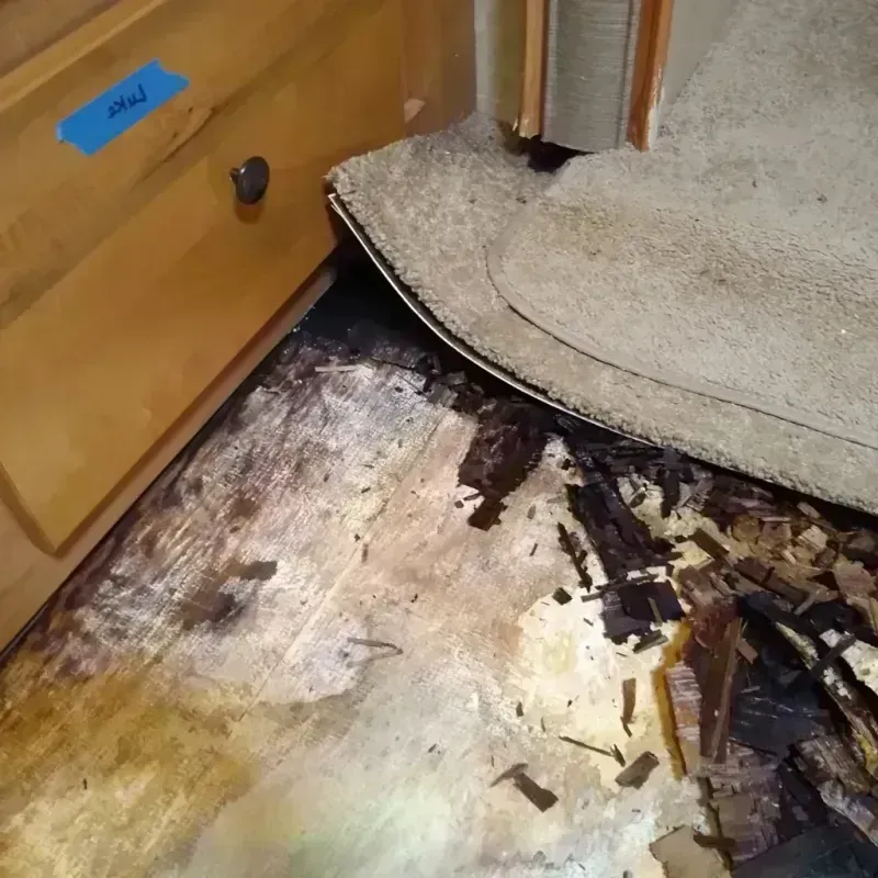 Wood Floor Water Damage in Fremont, NC